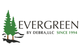 //www.vibgyorweb.com/wp-content/uploads/2024/06/ebd_logo-1.png